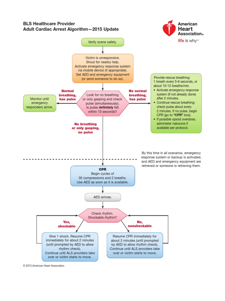Adult Cardiac Arrest Algorithm | Cardiopulmonary Resuscitation | Health ...