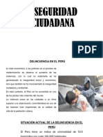 Seguridad Ciudadana