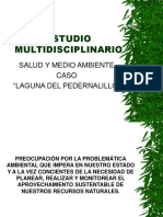 Salud y Medio Ambiente,  Caso Laguna de Pedernalillo por Jorge Nunez