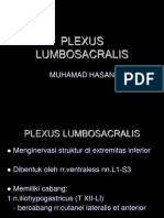 Kuliah 2 - Plexus Lumbosacralis (Dr. Hasan)