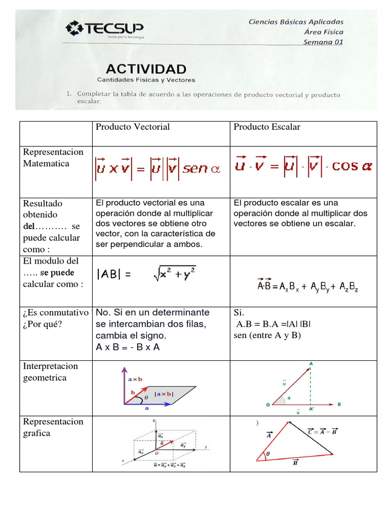 Producto Vectorial y Escalar: Diferencias | PDF