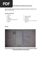 Biology Lab 6 Enzymes