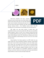 Human Papiloma Virus Isi