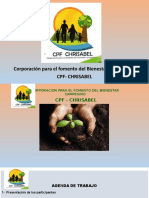 Presentacion CPF Chrisabel