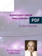 Auri̇külada Fazlar Excelente