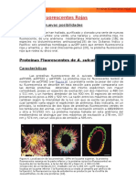 4proteinas Flouresentes Con Las Que Le Inyectaron Al Raton y de Noche El Raton Era Verde Luminoso en La Oscuridad