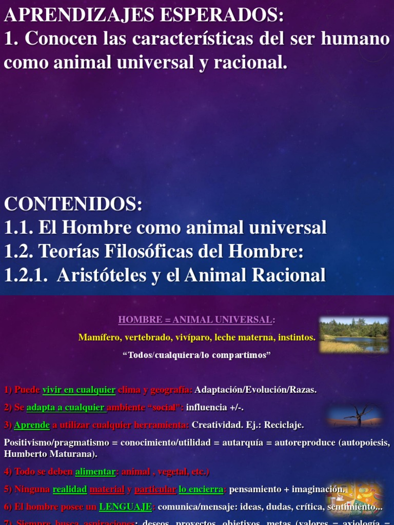 El Hombre como Animal Racional | PDF | Verdad | Alma