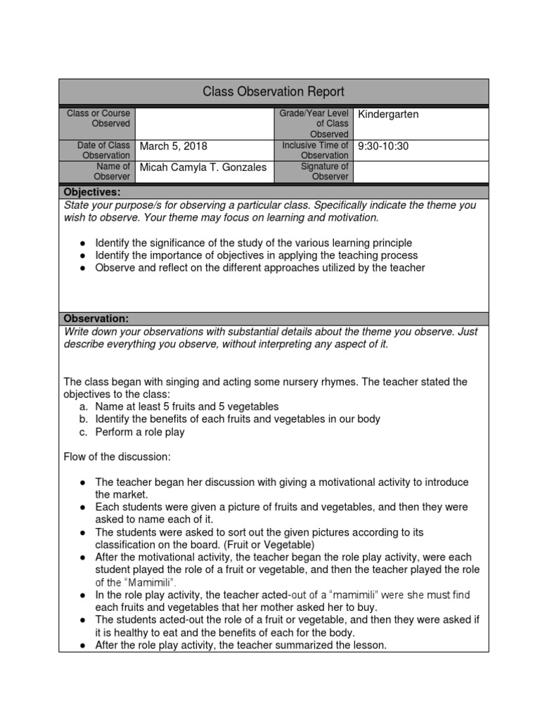 How To Write Observation Report