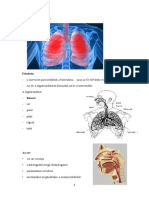  Pneumonologia - A Legzorendszer Anatomiaja