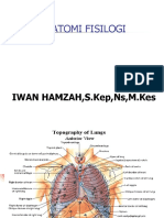 Anatomi Fisilogi: IWAN HAMZAH, S.Kep, NS, M.Kes