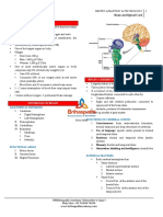 4.Central Nervous Systemfi