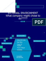 External Environment What Company Might Chose To Do?????