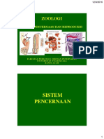 Pertemuan 1 Baru (Pencernaan)