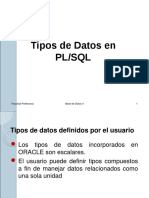 17 Tipos de Datos en PL PDF