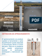 CAP 2 PET 202.pdf