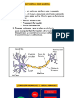 Diapos Con Principios