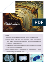 Cito11 PDF