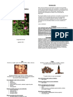 plantas-curativas-madison-sm.pdf