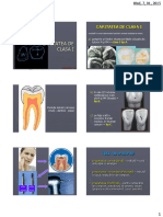 Odontoterapie PDF