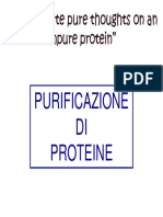 Purificazione Proteica