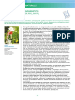 Ciencias_Naturales_Veronica_Kaufmann.pdf