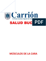 3. Musculos de La Cara 126 0