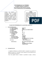 Enfermería en la Salud del Adulto II