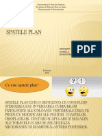 Spatele Plan