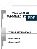 Vulvar and Vaginal Tumor