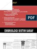 Brain Anatomy and Central Nervous System Structures