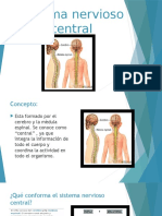 Sistema Nervioso Central