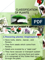 Major Classification of Flowering and Non-Flowering Plants