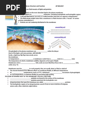Guided Notes