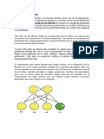 Segunda Ley de Mendel