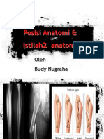 Istilah Anatomi (Baru)