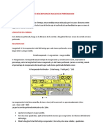 Guia de Descripcion de Nucleos de Perforacion