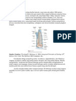 Subfilum Urochordata