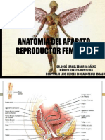 Clase 1 - Anatomia en Ginecologia