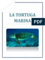 La Tortuga Marina