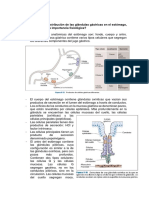 Seminario 1