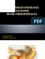 Asistensian Patologi Anatomi Urogenitalia 2012