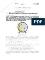 Molino de Bolas y Molino de Barras PDF