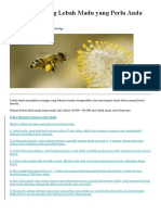 22 Fakta Tentang Lebah Madu Yang Perlu Anda Ketahui