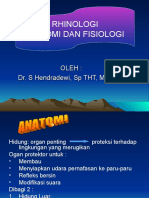 Anatomi Dan Fisiologi Hidung