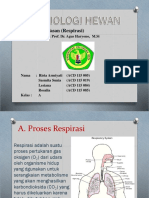 Respirasi Gabungan Kelompok