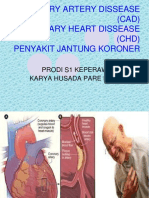 Dhina W.cardio Artery Diseas