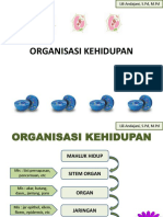 organisasi kehidupan7a7c