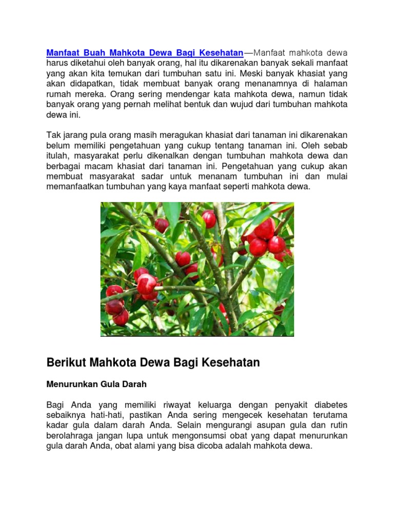 Manfaat Buah Mahkota Dewa Pdf