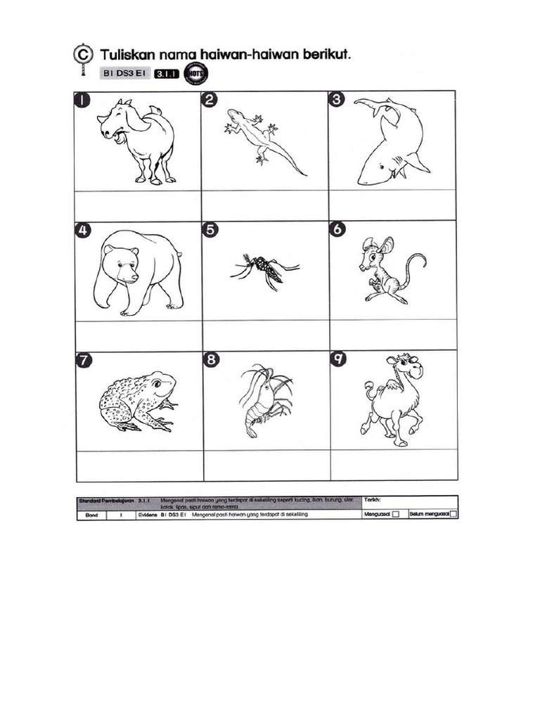 Latihan Sains Tahun 1