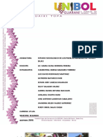 Consulta Previa Informe